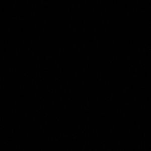 Meet your Posher, Maya